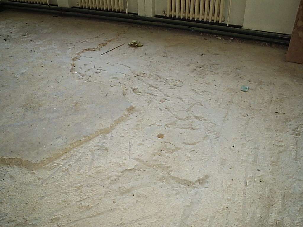 Wat het tussen een cement dekvloer en anhydriet?